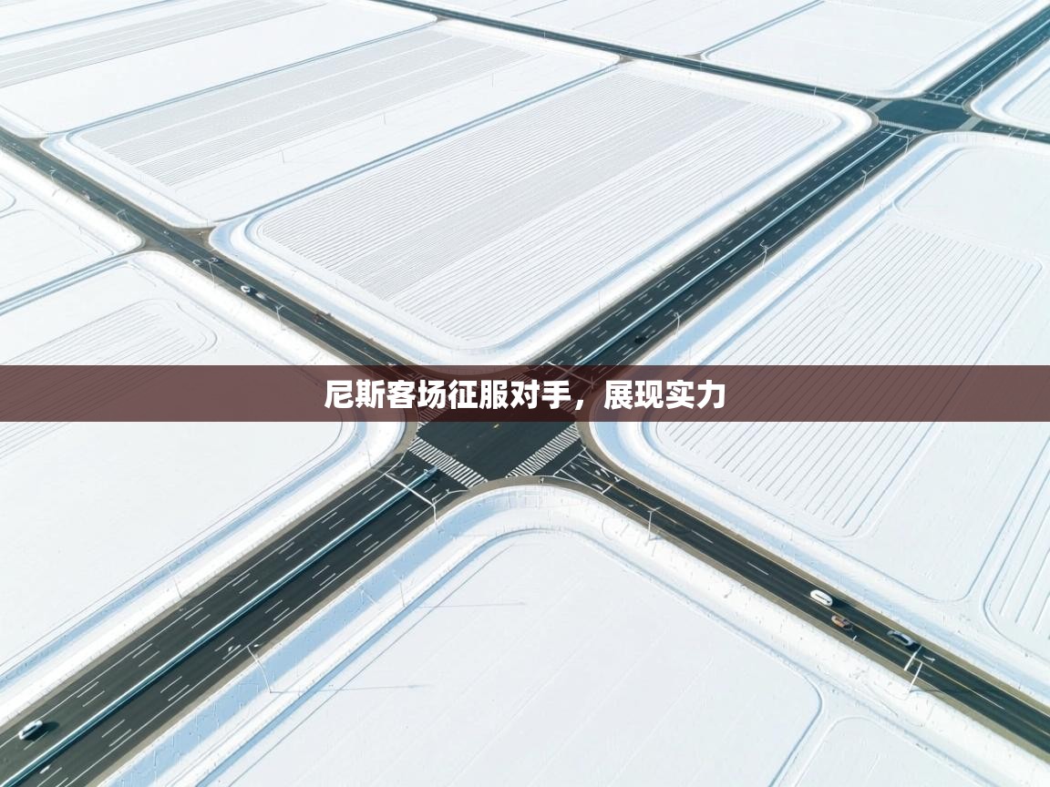 尼斯客场征服对手，展现实力