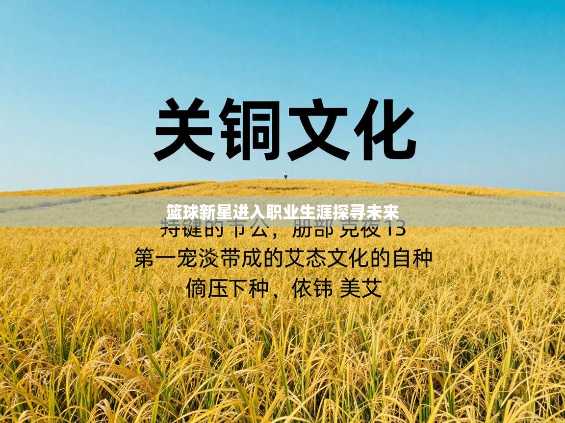 篮球新星进入职业生涯探寻未来  第2张