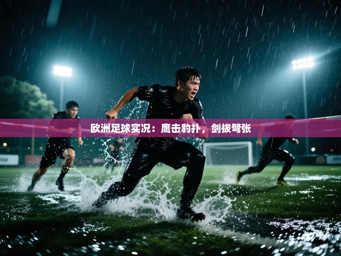 欧洲足球实况：鹰击豹扑，剑拔弩张  第2张